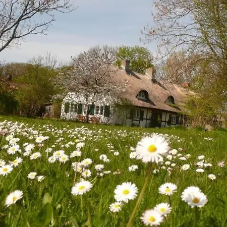 Reethaus Rosengarten Ruegen, Gegenueber Von Hiddensee Lejlighed *